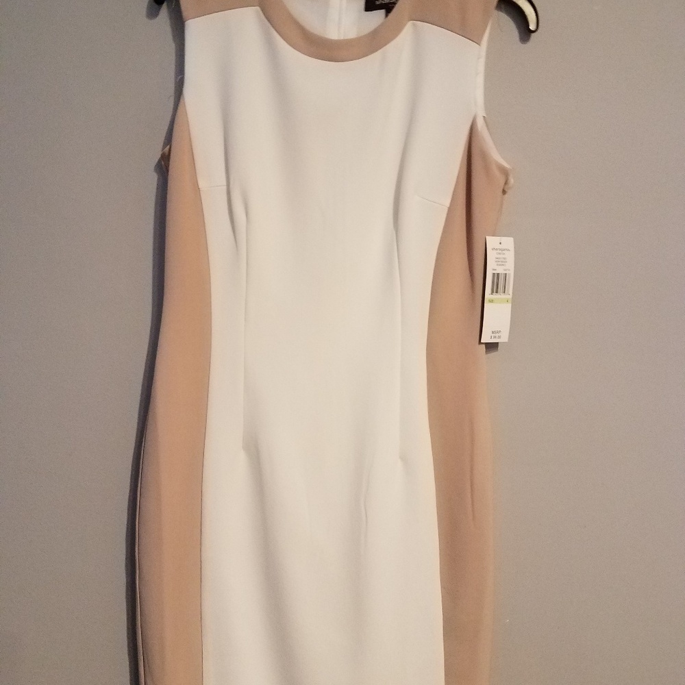 Sharagano Ivory/Camel Dress